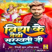 Vidha Ke Devi Sarswati Ji (Anil Yadav) 2023 Bhakti Songs