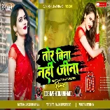 Tor Bina Jeena Nahi Khortha Hard Bass Remix Dj Shashi
