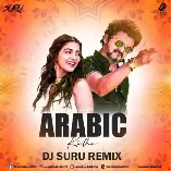 Arabic Kuthu (Tapori Mix)   DJ Suru