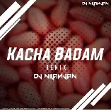 Kacha Badam Dj Song   DJ Nilanjan